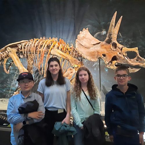 4 Schüler*innen stehen vor einem hell beleuchteten Dinosaurierskelett
