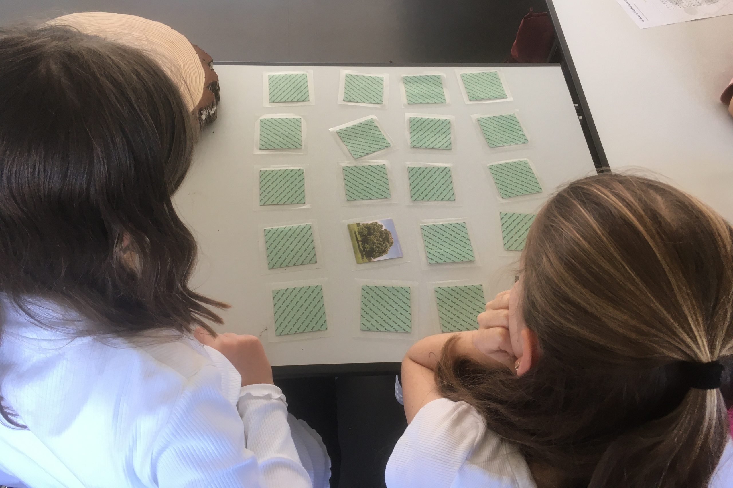 Zwei braunhaarige Mädchen sitzen vor einem Memory mit Bäumen. Die Karten liegen auf einem Tisch. Daneben ist ein Stück Baum.