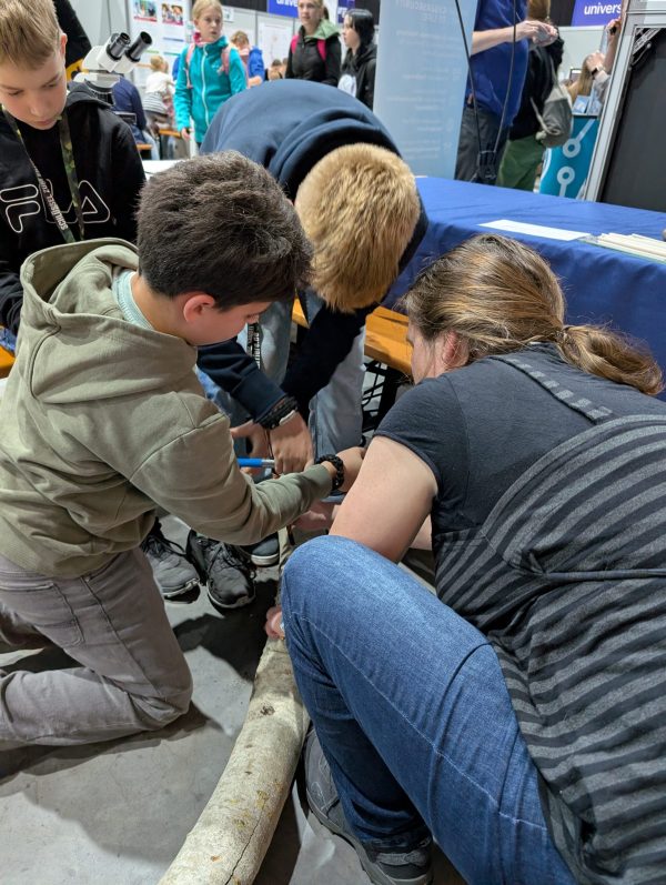 2 Kinder mit kurzen Haaren, einer braunhaarig, der andere blong, drehen mit einem Werkzeug ein Lock un einen Baumstamm mit heller Rinde. Eine erwachsene Person mit braunen langen Haaren hilft ihnen dabei.
