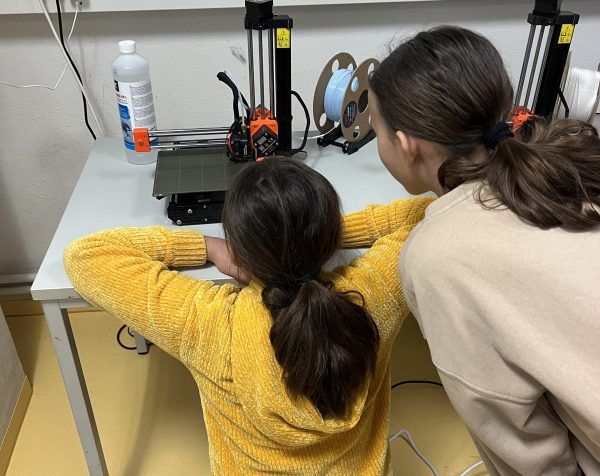 Lernende beobachten den 3D-Drucker
