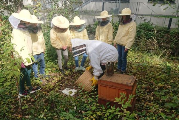 Lernende in Imkerschutzkleidung bei der Arbeit an einem Bienenstock