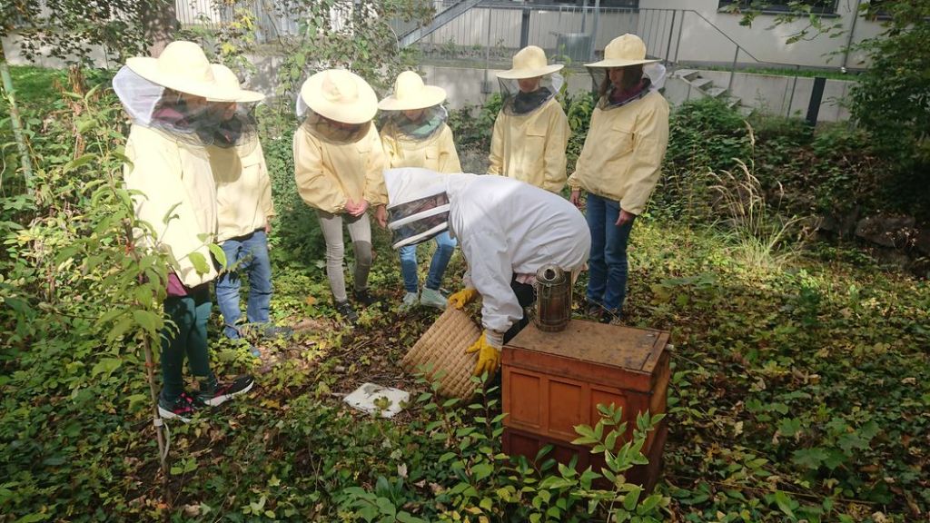 Lernende in Imkerschutzkleidung bei der Arbeit an einem Bienenstock
